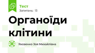 Органоїди клітини