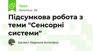 Підсумкова робота з теми "Сенсорні системи"