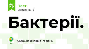 Бактерії.