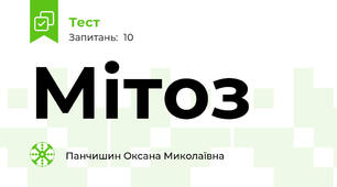 Мітоз