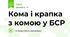 Кома і крапка з комою у БСР
