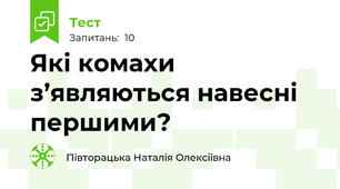 Які комахи з’являються навесні першими?