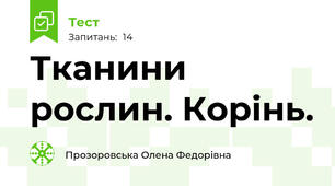  Тканини рослин. Корінь.