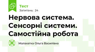 Нервова система. Сенсорні системи. Самостійна робота
