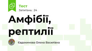  Амфібії, рептилії