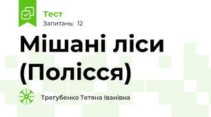 Мішані ліси (Полісся)