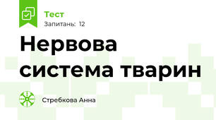 Нервова система тварин