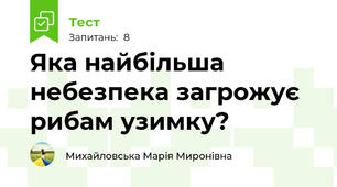 Яка найбільша небезпека загрожує рибам узимку?
