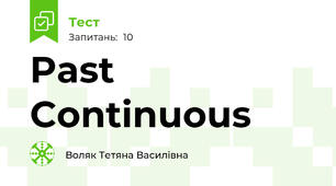 Past Continuous 