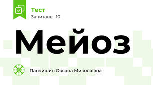Мейоз