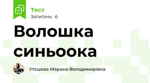Волошка синьоока