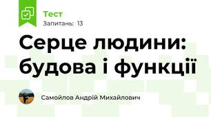 Серце людини: будова і функції