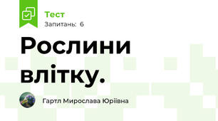 Рослини влітку.