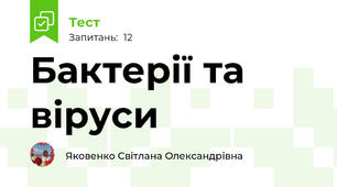 Бактерії та віруси