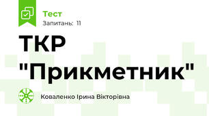 ТКР "Прикметник"