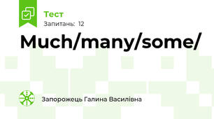 Much/many/some/