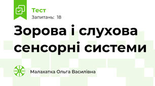 Зорова і слухова сенсорні системи