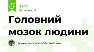 Головний мозок людини