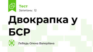 Двокрапка у БСР