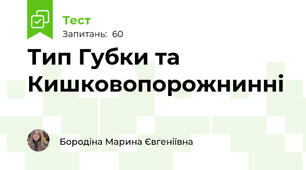 Тип Губки та Кишковопорожнинні