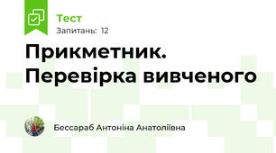 Прикметник. Перевірка вивченого