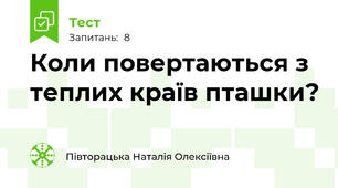 Коли повертаються з теплих країв пташки?