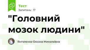  "Головний мозок людини"