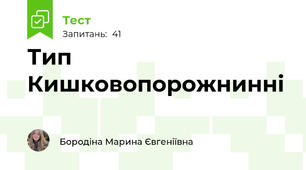 Тип Кишковопорожнинні