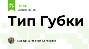 Тип Губки