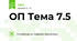 ОП Тема 7.5