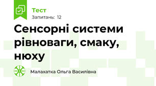 Сенсорні системи рівноваги, смаку, нюху