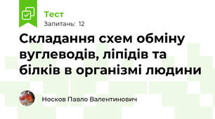Складання схем обміну вуглеводів, ліпідів та білків в організмі людини