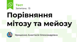 Порівняння  мітозу та мейозу
