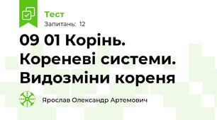 09 01 Корінь. Кореневі системи. Видозміни кореня