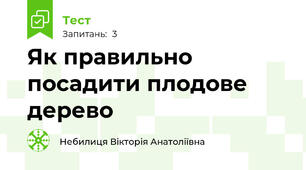 Як правильно посадити плодове дерево