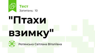 "Птахи взимку"
