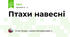 Птахи навесні