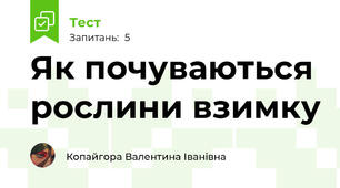 Як почуваються рослини взимку