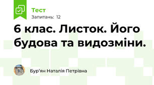 6 клас. Листок. Його будова та видозміни.