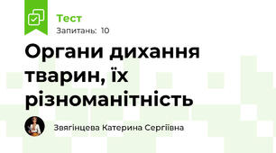 Органи дихання тварин, їх різноманітність