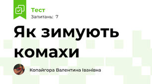 Як зимують комахи
