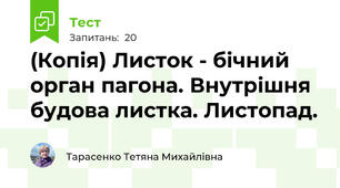 (Копія) Листок - бічний орган пагона. Внутрішня будова листка. Листопад.