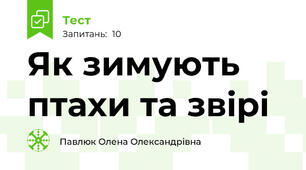 Як зимують птахи та звірі