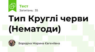 Тип Круглі черви (Нематоди) 