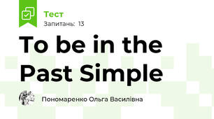 To be in the Past Simple