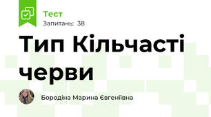 Тип Кільчасті черви 