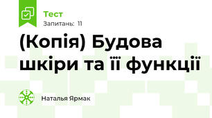 (Копія) Будова шкіри та її функції