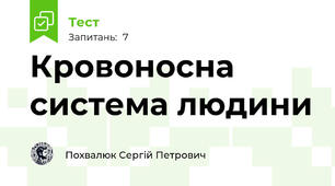 Кровоносна система людини