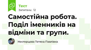 Самостійна робота. Поділ іменників на відміни та групи.