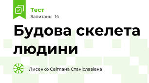 Будова скелета людини